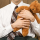 Image for article titled What Really Happens At Cuddle Parties: Boners